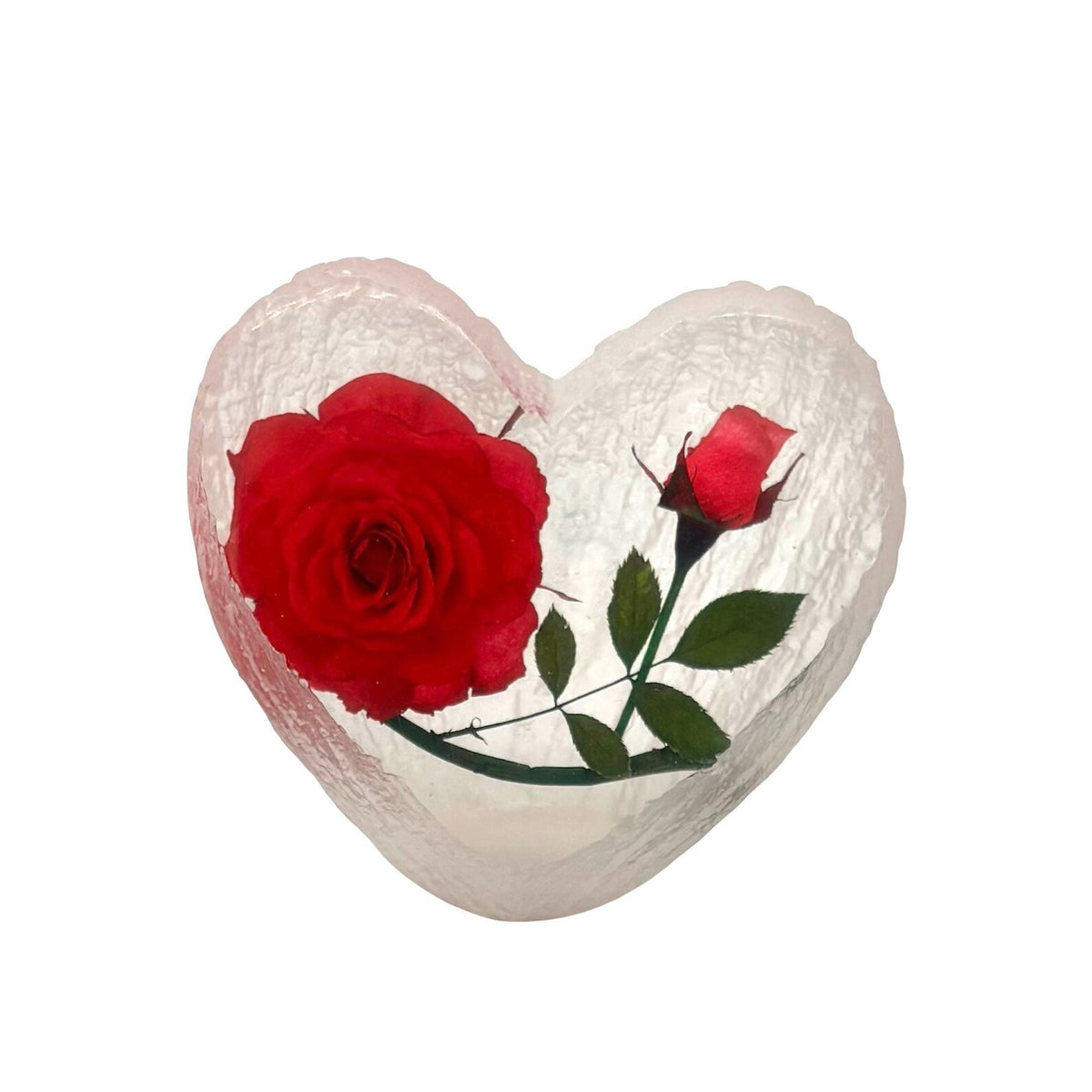 Real Rose Desk Decoration
