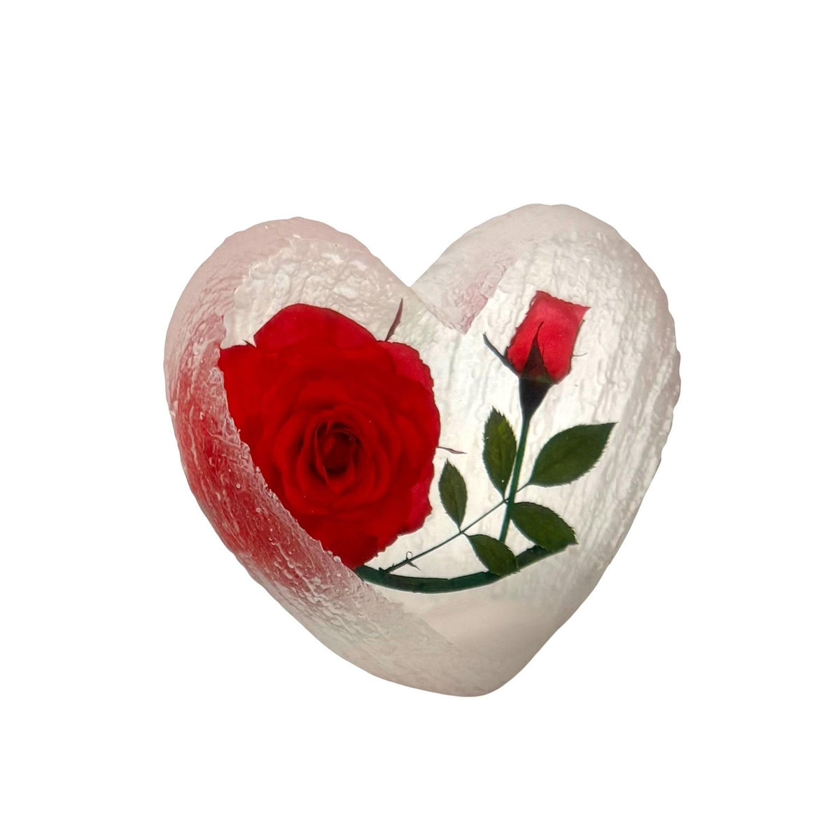 Real Rose Desk Decoration – view 2