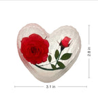 Real Rose Desk Decoration – view 4