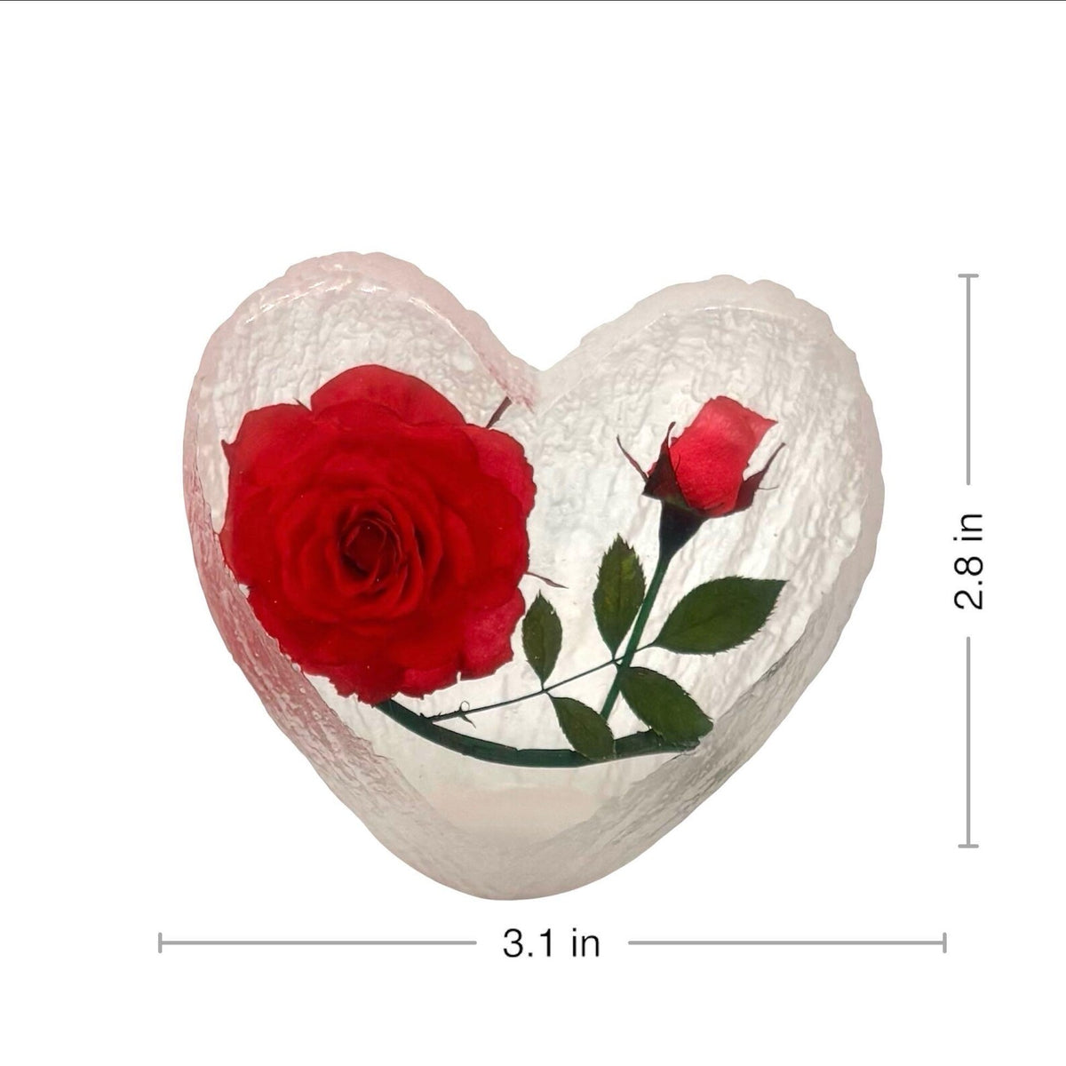 Real Rose Desk Decoration – view 4