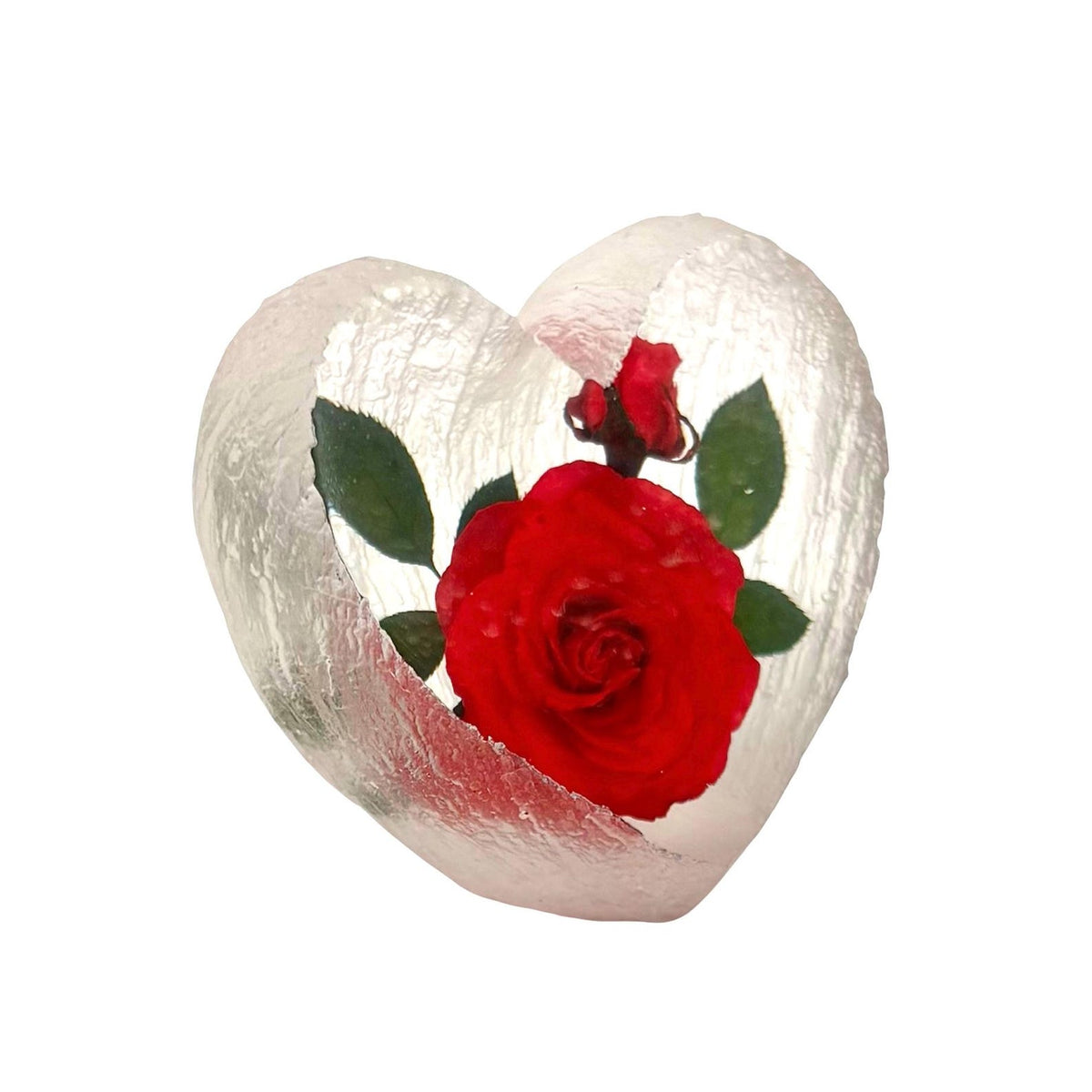 Real Rose Desk Decoration – view 2