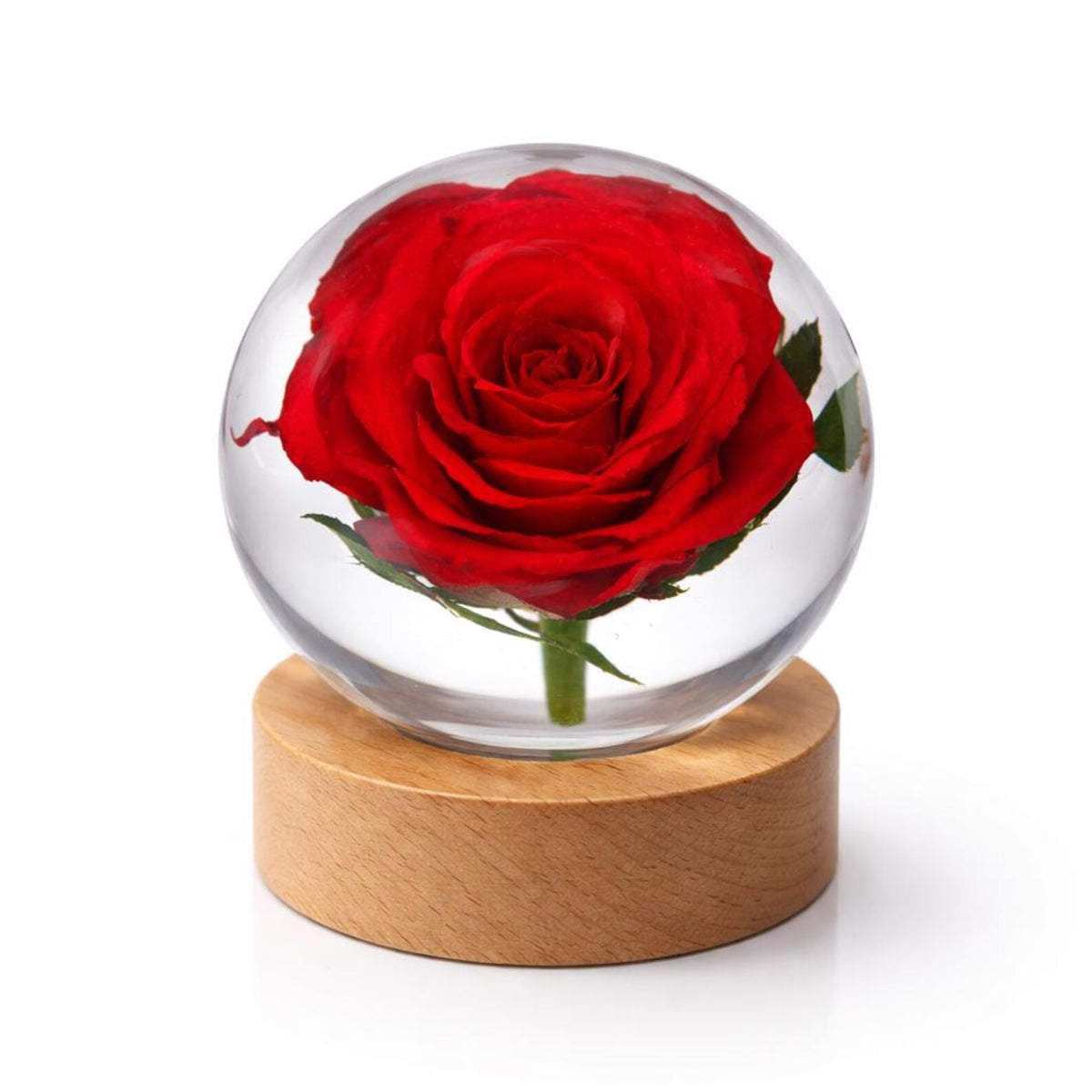 Real Rose Resin Sphere with Wood Base – 2.4 in