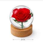 Real Rose Resin Sphere with Wood Base – 2.4 in – view 2