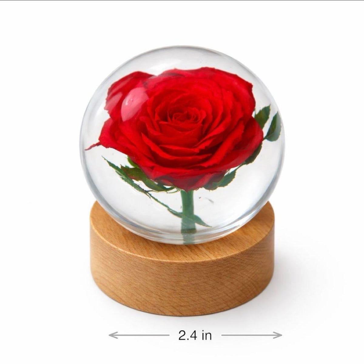 Real Rose Resin Sphere with Wood Base – 2.4 in – view 2