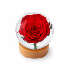 Real Rose Resin Sphere with Wood Base – 2.4 in – view 3
