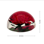Real Rose Resin Paperweight – 2.5 × 1.3 in – view 2