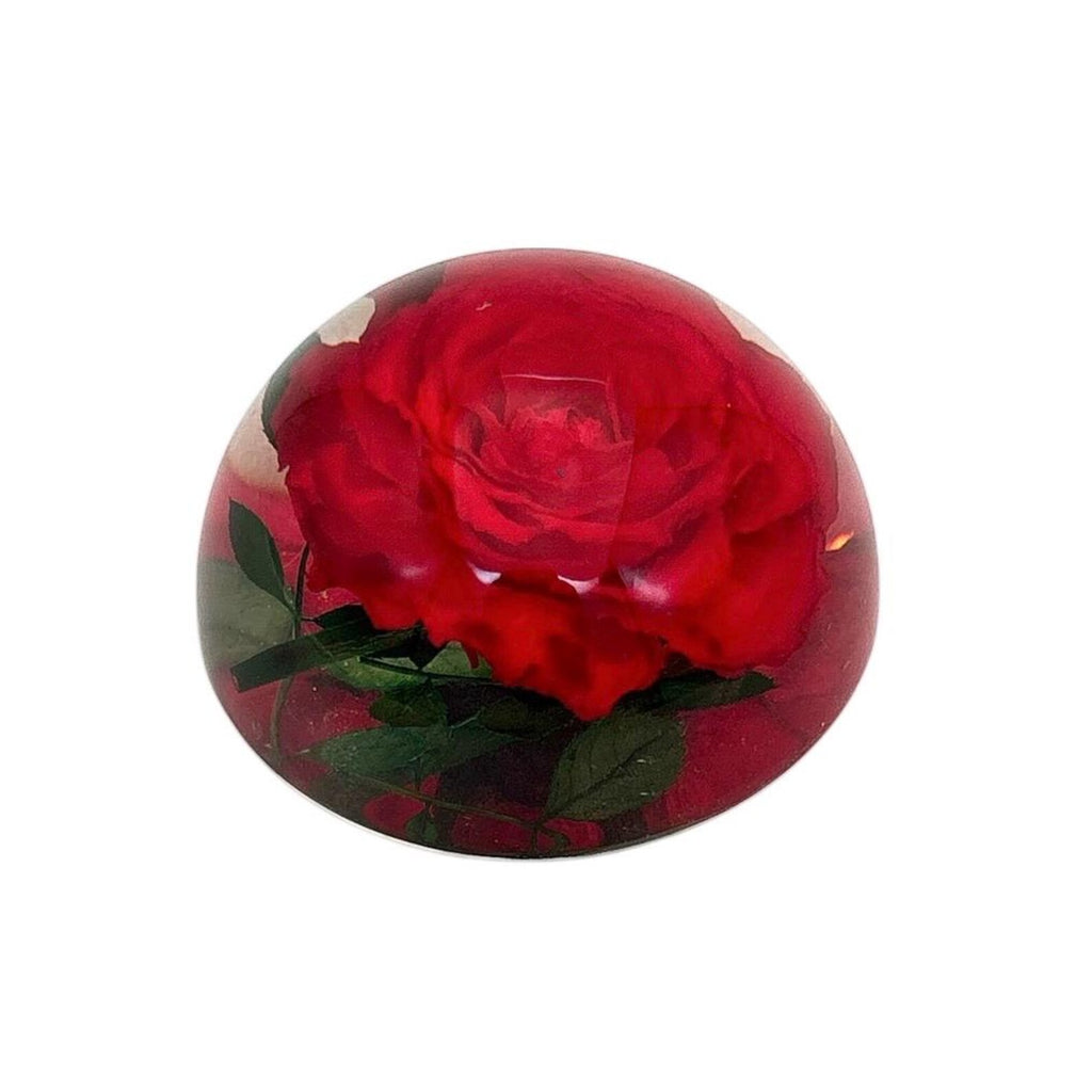 Real Rose Resin Paperweight – 2.5 × 1.3 in – view 4