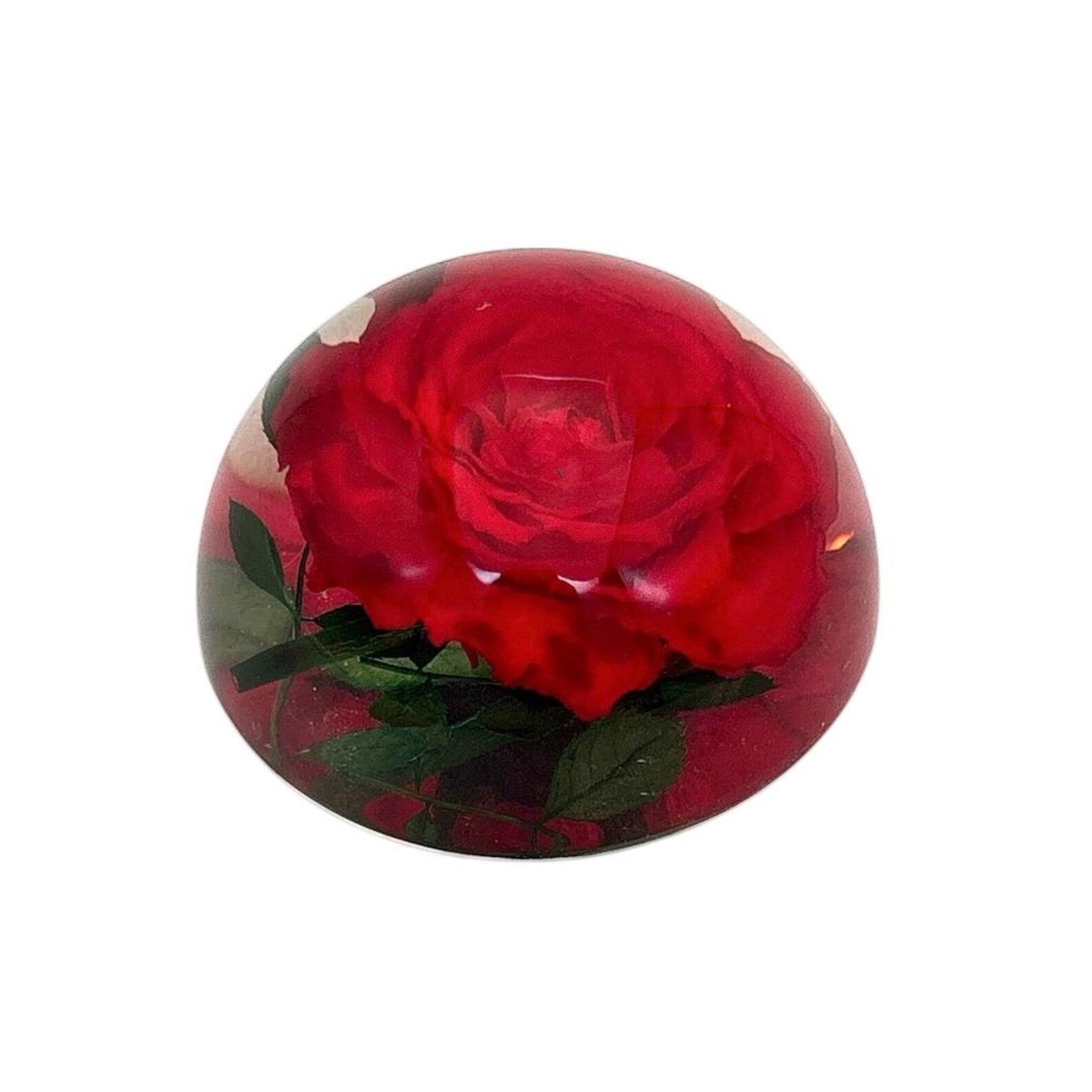 Real Rose Resin Paperweight – 2.5 × 1.3 in – view 4