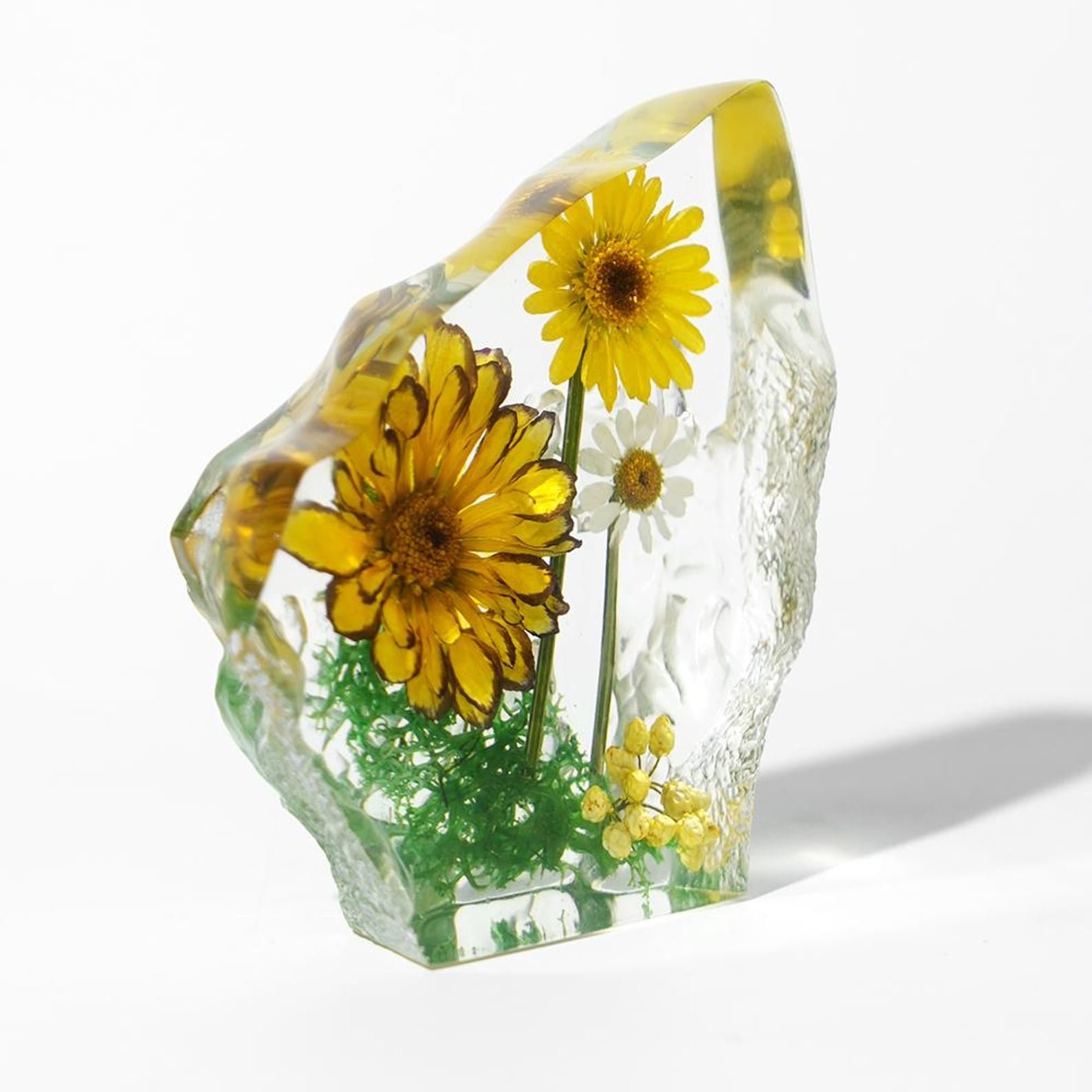 Blütenobjekt „Roman Holiday“ in Harz – 7,6 × 7,6 × 2,5 cm – Ansicht 3