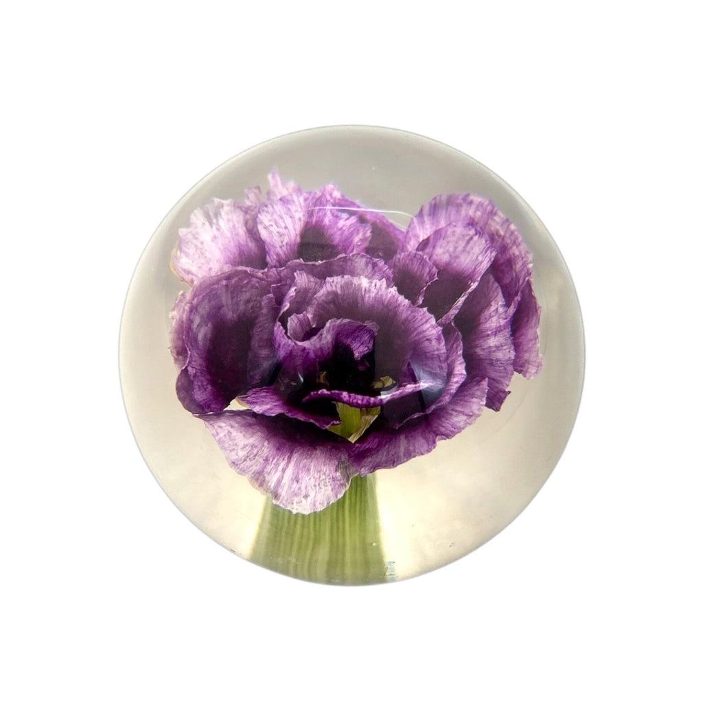 Carnation Resin Globe – 2.4 in – view 2