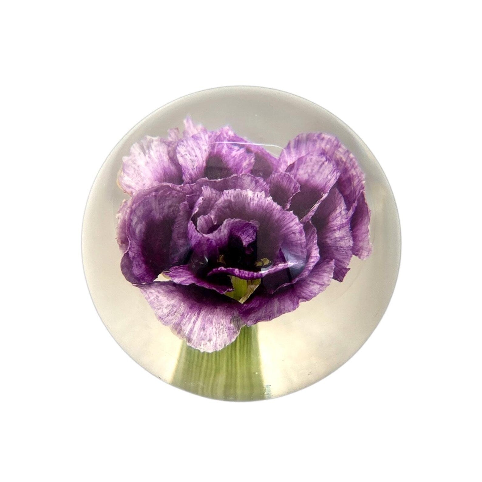 Carnation Resin Globe – 2.4 in – view 2