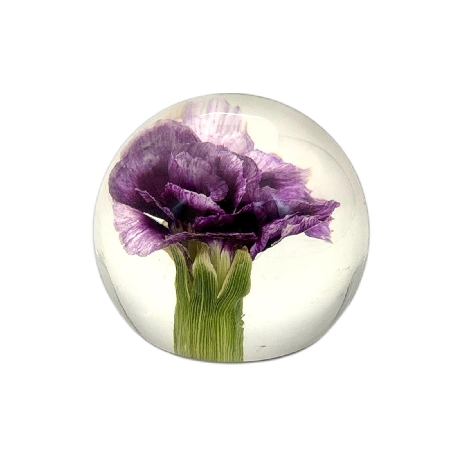 Carnation Resin Globe – 2.4 in – view 3