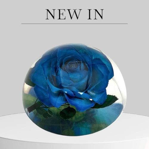 Blaue Rose in Harz – 6,4 × 3,3 cm