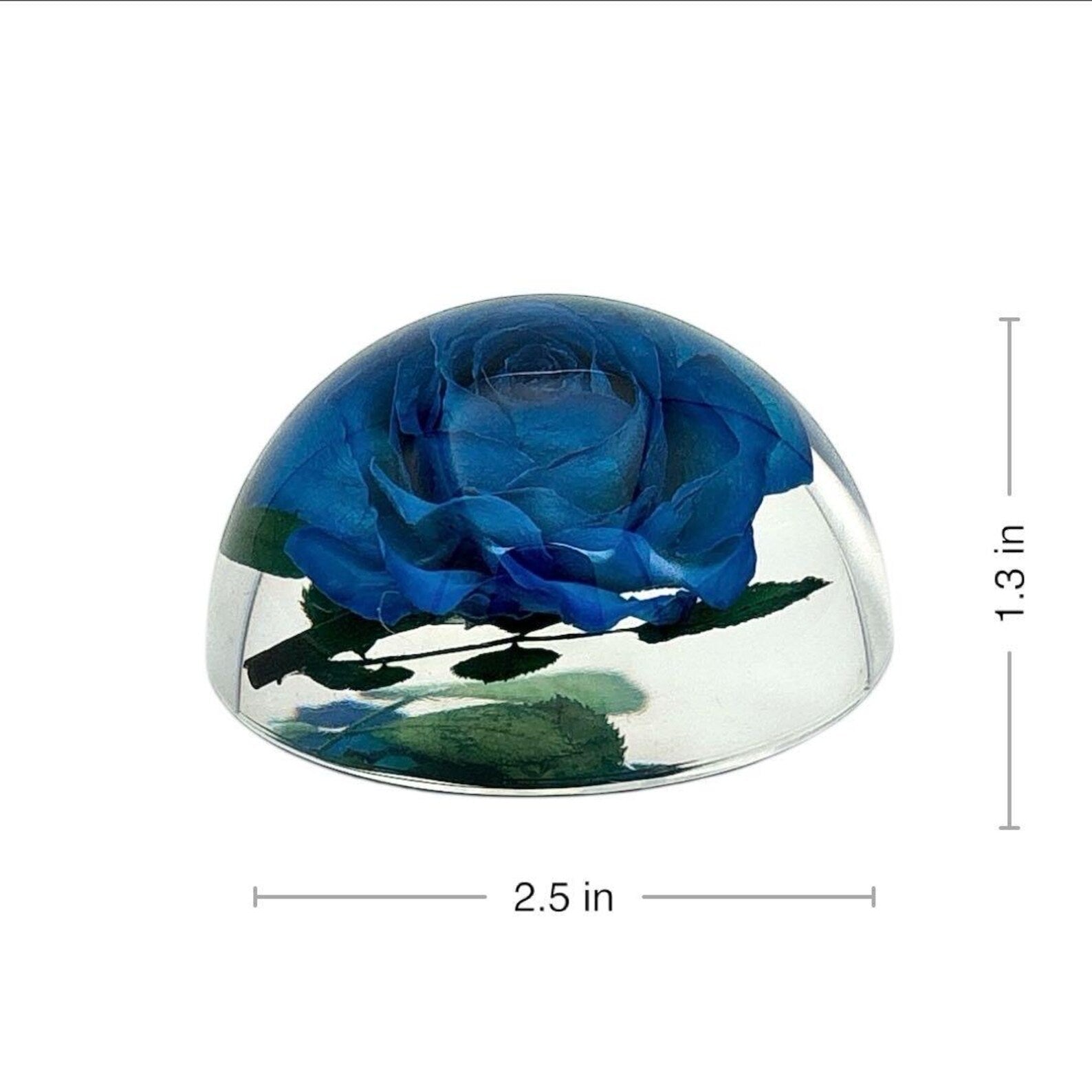 Blaue Rose in Harz – 6,4 × 3,3 cm – Ansicht 2