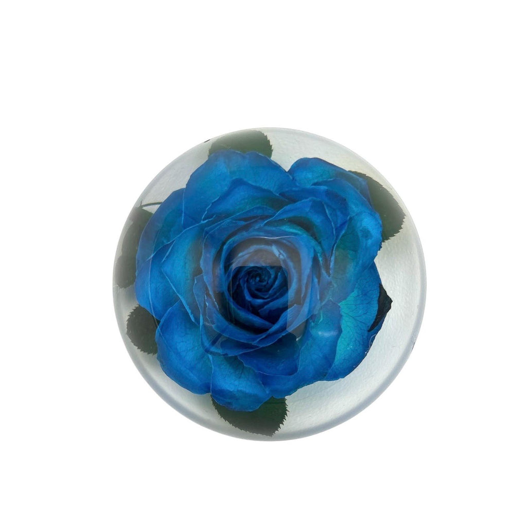 Blaue Rose in Harz – 6,4 × 3,3 cm – Ansicht 5