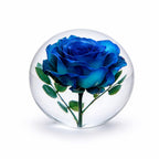 Blaue Rose in Harz – rundes Papiergewicht
