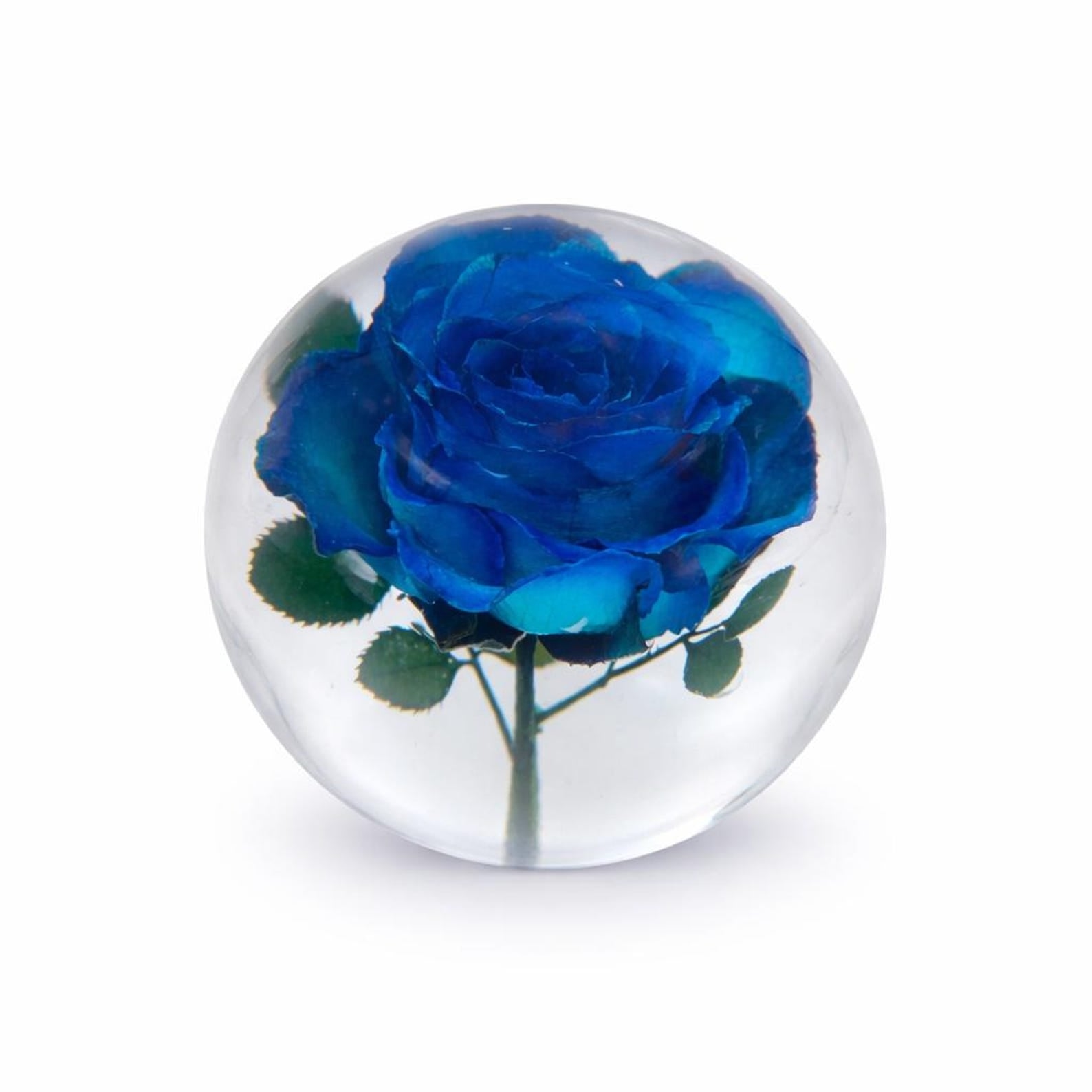 Blaue Rose in Harz – rundes Papiergewicht – Ansicht 3