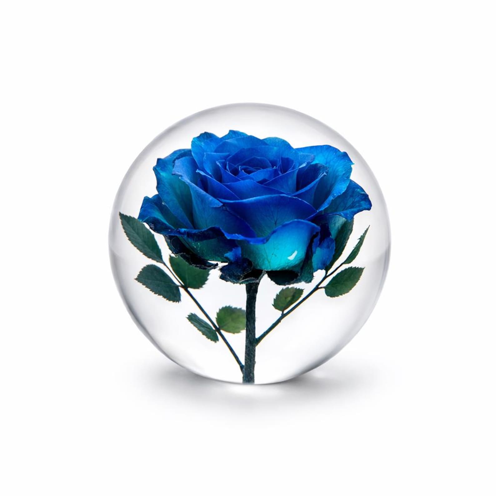 Blaue Rose in Harz – rundes Papiergewicht – Ansicht 5