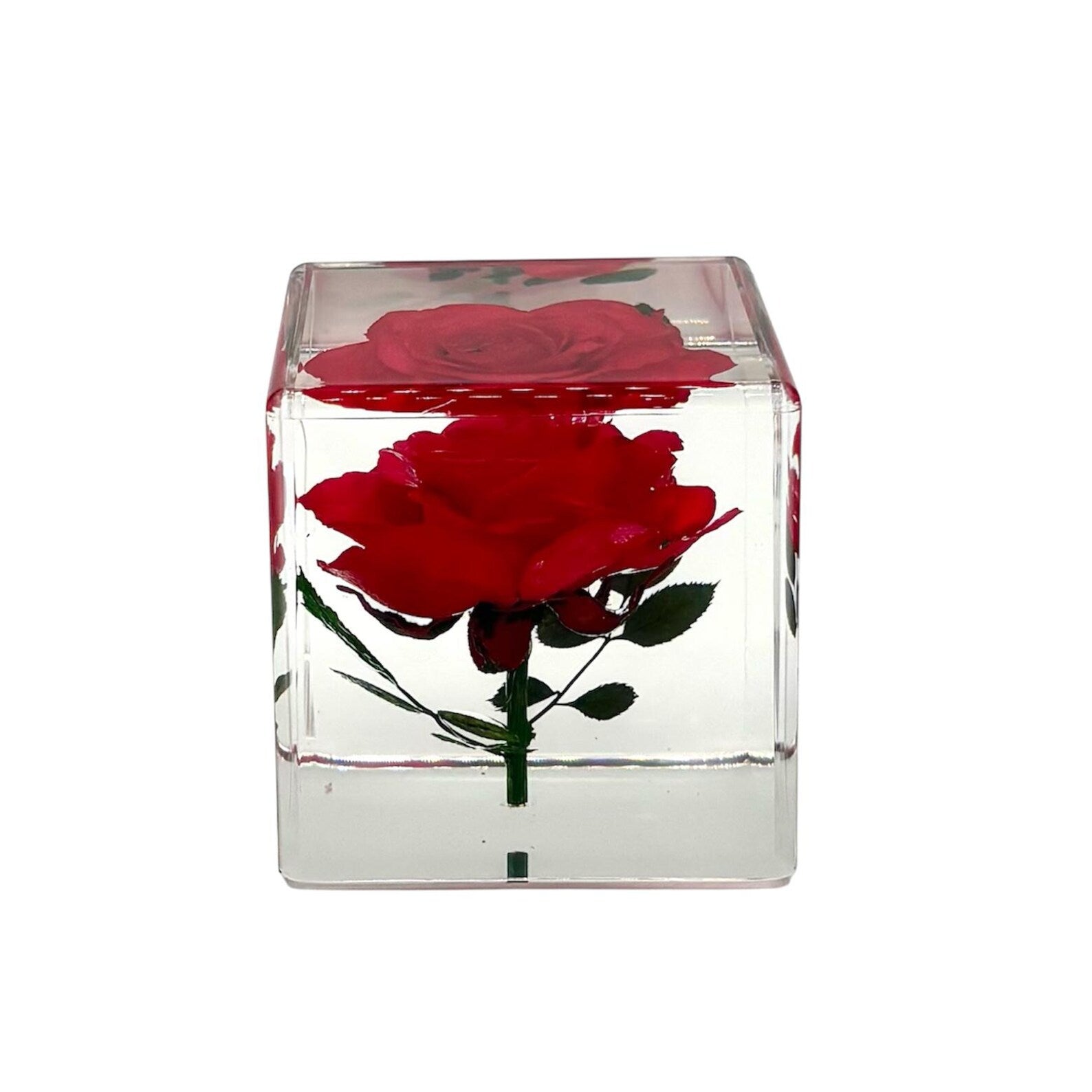 Real Rose Resin Desk Decoration – 2 in – view 5