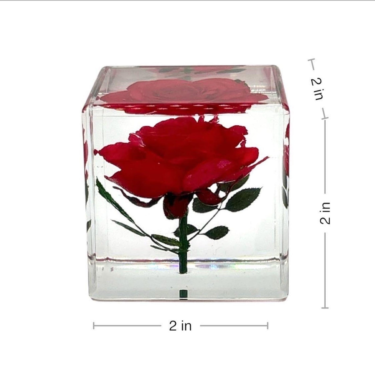 Real Rose Resin Desk Decoration – 2 in – view 6