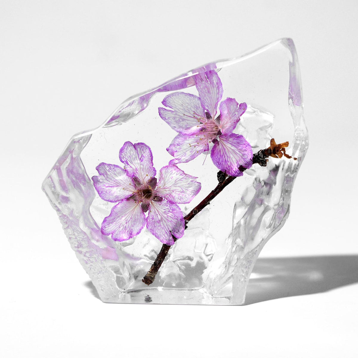 Real Cherry Blossom Resin Display – 3 × 3 × 1 in – view 2