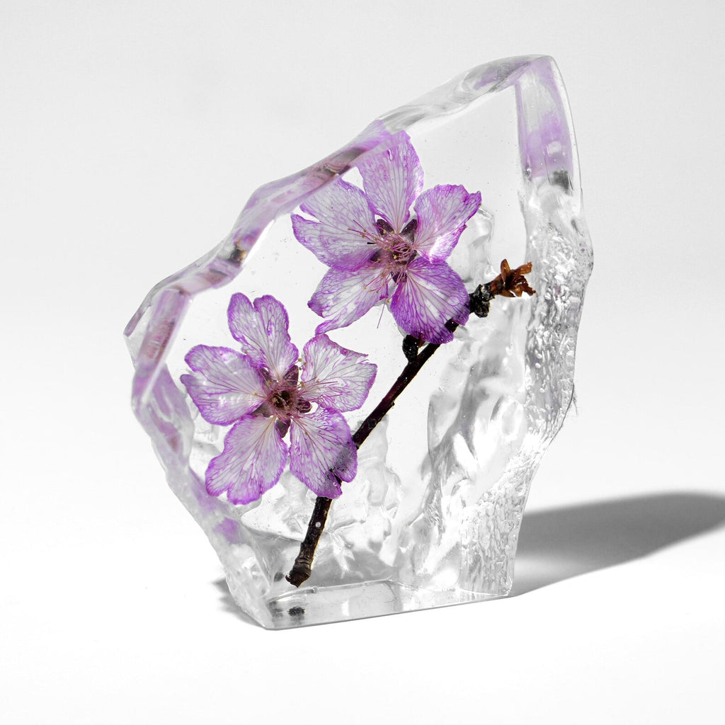 Real Cherry Blossom Resin Display – 3 × 3 × 1 in – view 3