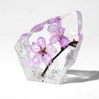Real Cherry Blossom Resin Display – 3 × 3 × 1 in – view 4