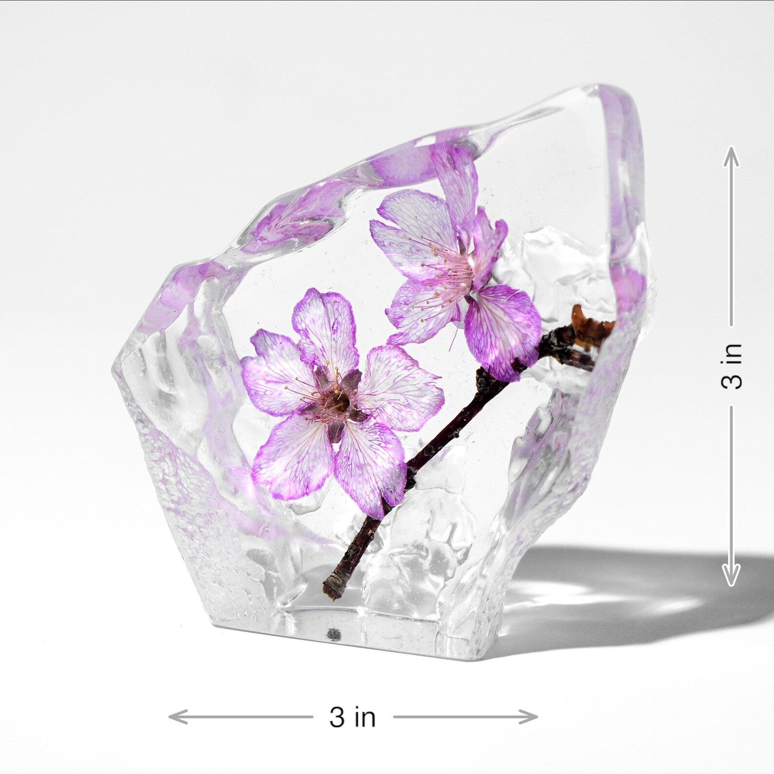 Real Cherry Blossom Resin Display – 3 × 3 × 1 in – view 5