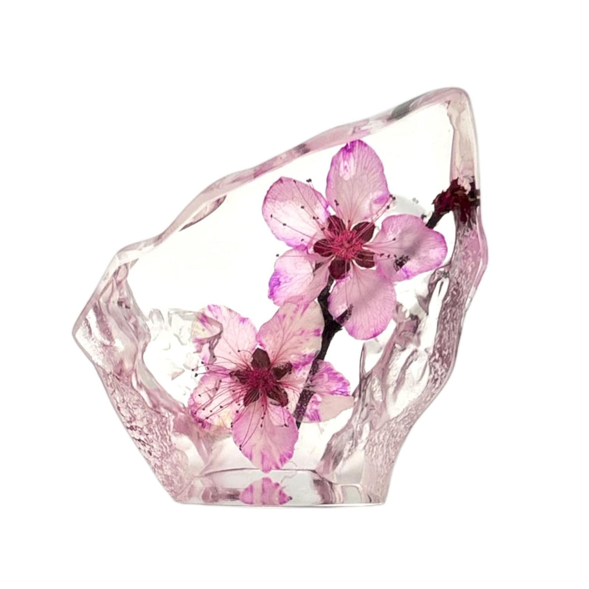 Real Peach Blossom Resin Display – 3 × 3 × 1 in – view 3