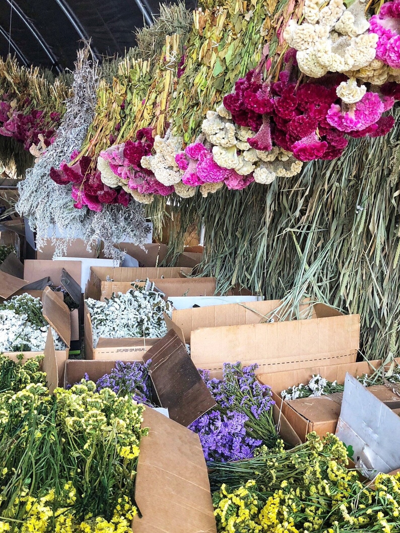 Dried Flower Heart Wreath “Basil” – 20 in – view 5