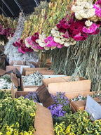 Dried Flower Heart Wreath “Romeo” – 20 in – view 4